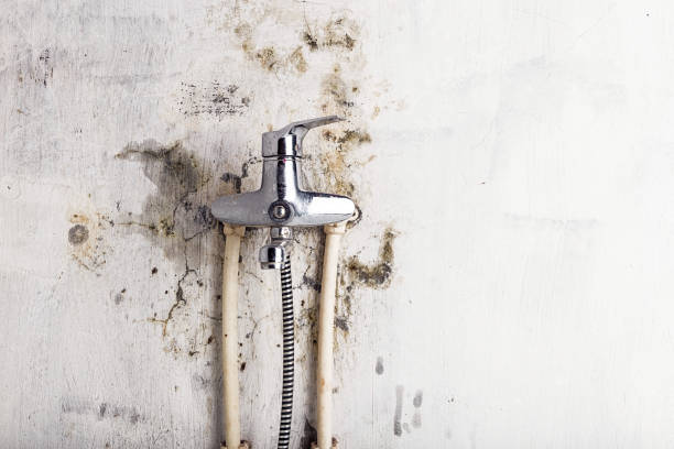 Best Mold Testing  in Burlington, KS