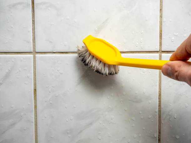  Burlington, KS Mold Removal Pros