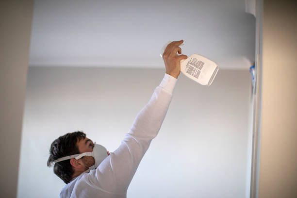Best Mold Removal Company Near Me  in Burlington, KS