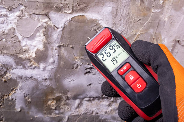 Best Home Mold Removal  in Burlington, KS