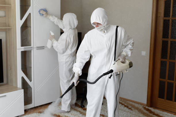 Attic Mold Removal in Burlington, KS