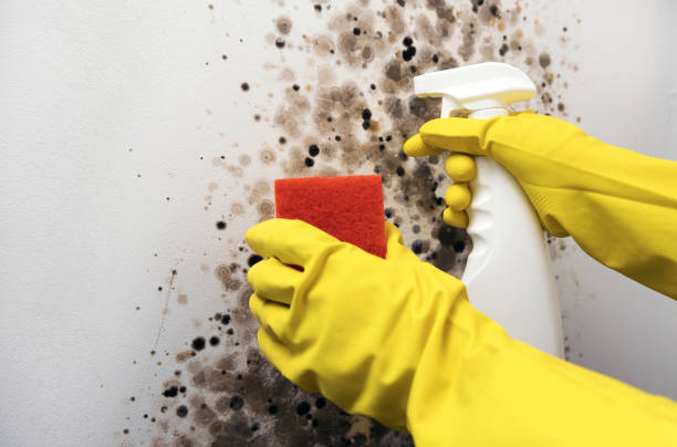 Water Damage Restoration in Burlington, KS