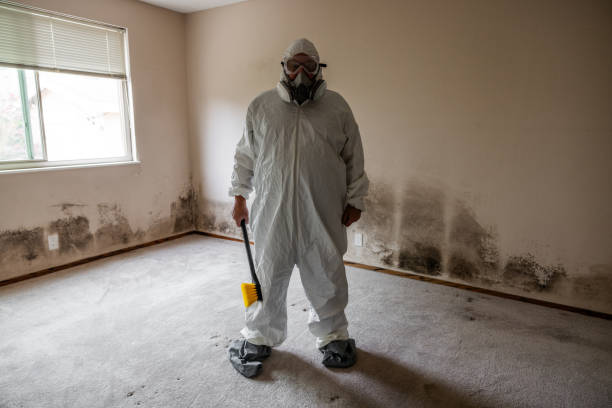 Best Mold Remediation  in Burlington, KS